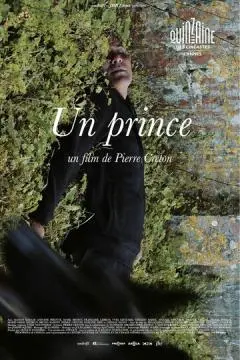 Принц онлайн